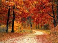 Seasonal-Fall